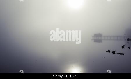 Nebbia di mattina su Tomales Bay Foto Stock