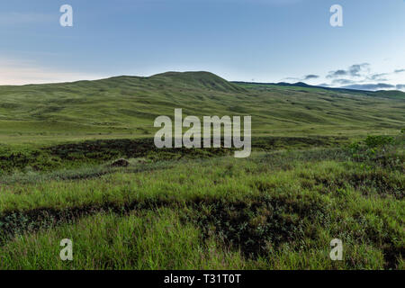 Verdi colline ricoperte di erba all'alba la Big Island delle Hawaii. Foto Stock