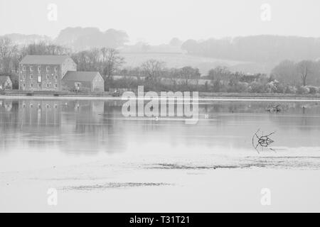 Mill riflettendo in acqua a Carew Castle, Pembrokeshire, Galles Foto Stock