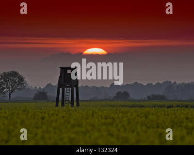 Tramonto dietro a nascondere nel Elbmarsch vicino Barum, Germania. Foto Stock