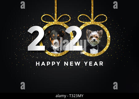 Felice anno nuovo 2020 con due cani Foto Stock