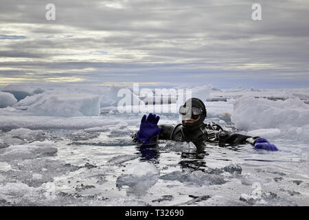 Immersioni in mare Artico, Spitsbergen, Oceano Artico, Norvegia Foto Stock