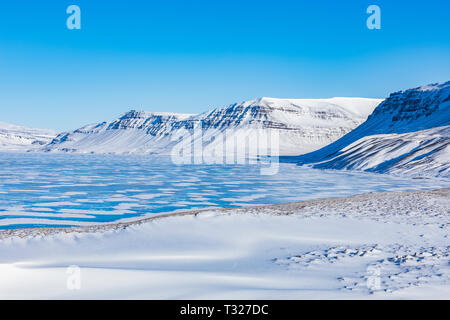 Ghiaccio sul fiordo lungo il lato est della penisola di Snaefellsnes di Islanda Foto Stock