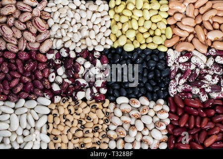 Una sana dieta alimentare vegano, fonti di proteine vegetali: diversi tipi di legumi Foto Stock