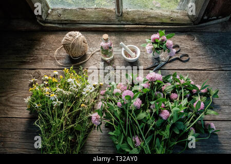 Trifoglio di rosa, margherite e fiori di iperico, Malta, tintura di trifoglio o infusione, forbici e iuta sul vecchio tavolo di legno all'interno del retro della casa di villaggio. Foto Stock