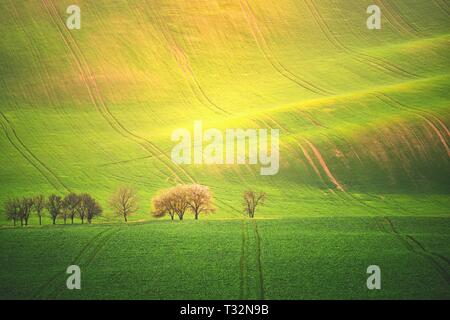 Tramonto foto paesaggio della Toscana della Moravia nella Repubblica Ceca Foto Stock