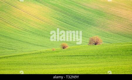 Tramonto foto paesaggio della Toscana della Moravia nella Repubblica Ceca Foto Stock