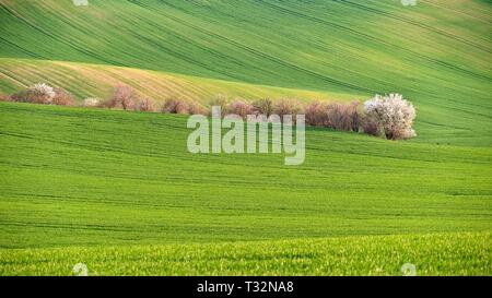 Tramonto foto paesaggio della Toscana della Moravia nella Repubblica Ceca Foto Stock