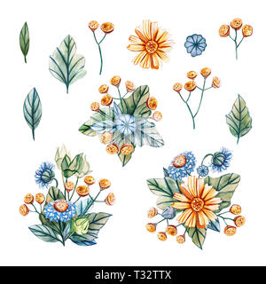 Le illustrazioni ad acquerello con mazzi di fiori selvatici per un matrimonio. Scheda floreali con foglie di colore verde, giallo camomilla, tansy giallo e blu camomilla. Foto Stock