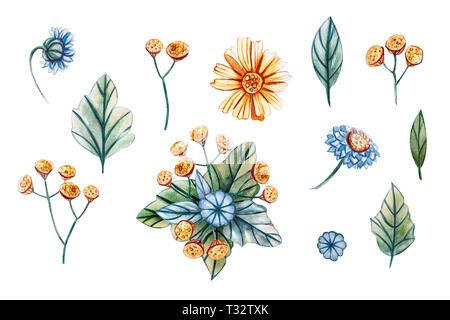 Le illustrazioni ad acquerello con piante e fiori per il matrimonio. Scheda floreali con foglie di colore verde, giallo camomilla, tansy giallo e blu camomilla. Au Foto Stock