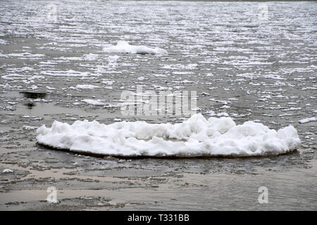 Grande pancake ghiaccio galleggiante sul Lago Michigan acqua Foto Stock