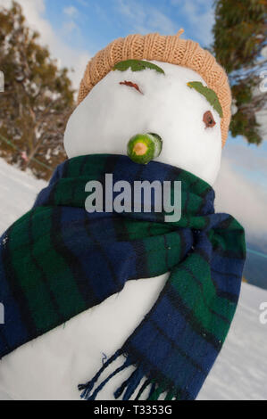 Giovane famiglia la vacanza a Mt Baw Baw nella stagione di neve. Mt Baw Baw, Victoria, Australia Foto Stock