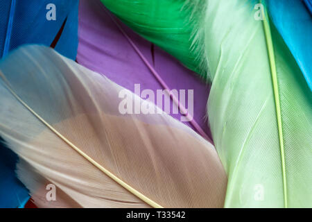 Colorate piume artificiali texture close up Foto Stock