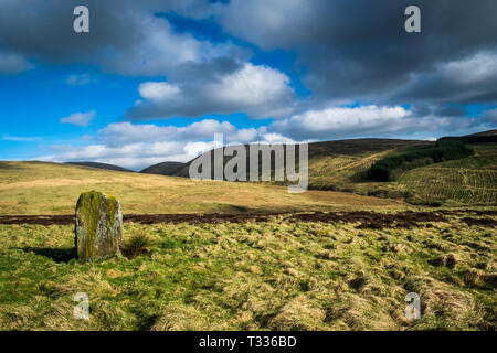 La pietra di Wallace. Dunblane. Scozia Foto Stock