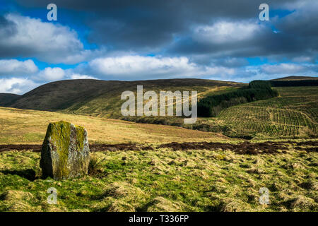 La pietra di Wallace. Dunblane. Scozia Foto Stock