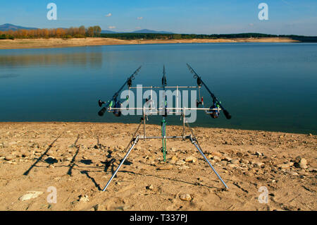 La pesca alla carpa. Due angling scena. Guardando lungo tre aste di carpe verso un laghetto. Foto Stock