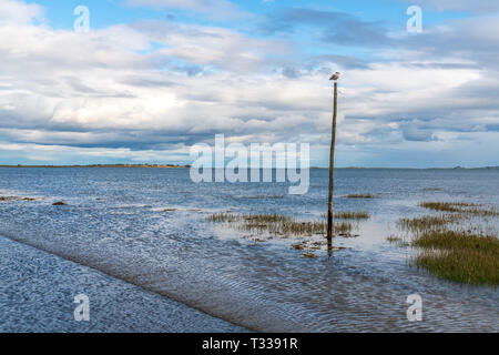 Vista dalla strada allagata tra Beal e il Santo Isola di Lindisfarne in Northumberland, England, Regno Unito Foto Stock