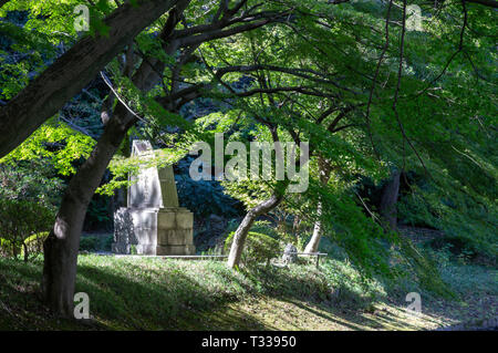 Koishikawa Korakuen, Tokyo, Giappone Foto Stock