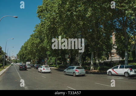 Fiancheggiata frondosi alberi su grandi trafficato viale pieno di auto, in una giornata di sole a Madrid. Capitale della Spagna con vibrante e intensa vita culturale. Foto Stock