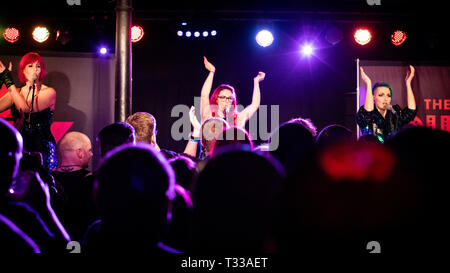 La Lounge gattini, Chinnerys, Southend, Essex © Clarissa Debenham / Alamy Foto Stock