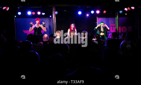 La Lounge gattini, Chinnerys, Southend, Essex © Clarissa Debenham / Alamy Foto Stock