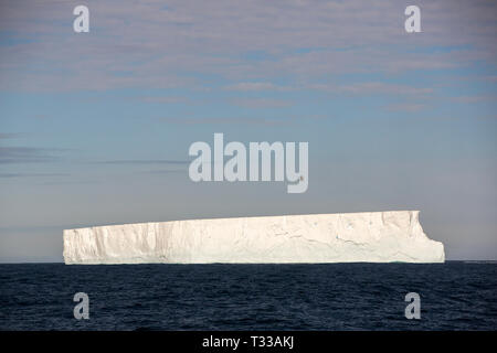 Iceberg tabulari vicino a Crystal Sound, Antartide. Foto Stock