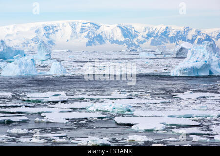 Iceberg e mare di ghiaccio nei pressi di suono cristallino e le isole Bisoce sul loro modo di reparti di degenza il circolo polare, in Antartide. Foto Stock