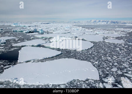 Iceberg e mare di ghiaccio nei pressi di suono cristallino e le isole Bisoce sul loro modo di reparti di degenza il circolo polare, in Antartide. Foto Stock