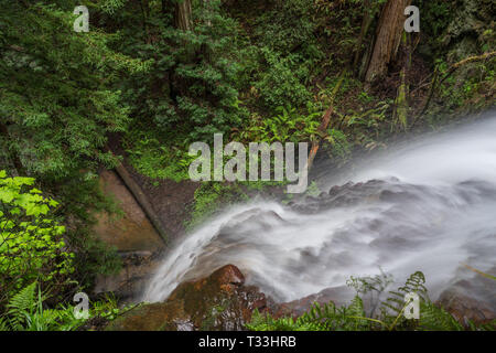 Silver Falls fluente vista dall'alto - Big Basin Parco Statale, Santa Cruz Mountains Foto Stock