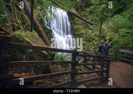 Berry Creek Falls e ponendo i turisti sulla piattaforma di osservazione - Big Basin Parco Statale, Santa Cruz Mountains Foto Stock