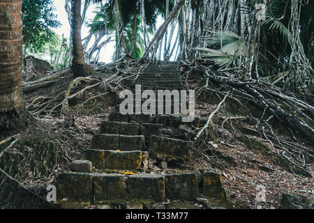 Magia di gradini di pietra di andare un lungo cammino in un tunnel di verde fresco fitta foresta. bradipo nell'impenetrabile nel folto della giungla. Le tracce di antiche Foto Stock