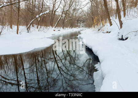 Paesaggio invernale con fresca neve caduti lungo il torrente nel minnehaha parkway di Minneapolis Minnesota Foto Stock