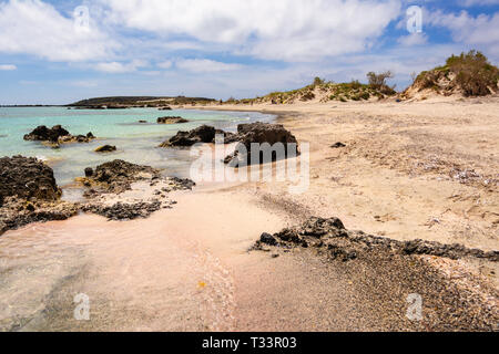 Elafonisi beach con corallo rosa sabbia e crystal acqua turchese, isola di Creta, Grecia. L'Europa. Foto Stock