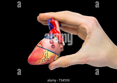 Dita azienda modello di cuore umano isolato su sfondo nero Foto Stock