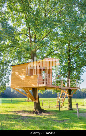 Nuova costruzione olandese struttura in legno capanna in alberi di quercia con prato Foto Stock