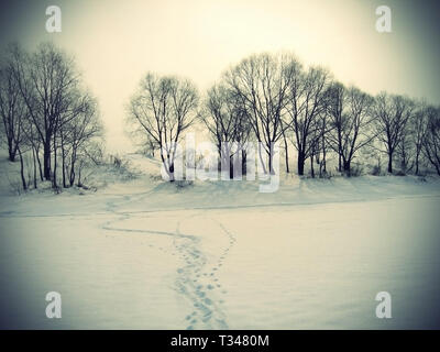 Paesaggio invernale con alberi e tracce sulla neve Foto Stock