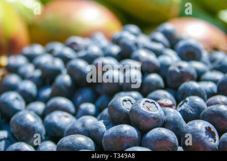 Fresche biologiche mature i mirtilli in un cestello con altri sfocati fuori fuoco frutta e verdura sullo sfondo, in un mercato vicino fino Foto Stock