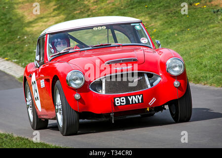 Una Austin Healy 3000 in volata al Gurston Down Hill Climb, DORSET REGNO UNITO Foto Stock