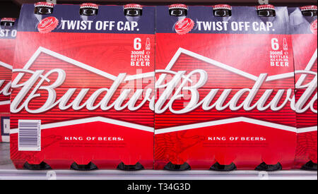 Birra Budweiser pacchi su un ripiano supermaket NEL REGNO UNITO Foto Stock