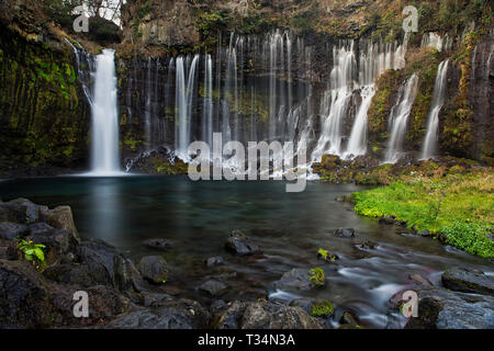Shiraito Falls, Fujinomiya, Shizuoka, Honshu, Giappone Foto Stock
