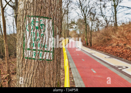 Percorso in bicicletta tra Kolobrzeg (Kolberg) e Ustronie Morskie (Henkenhagen), Kolobrzeg, West Pomerania, Polonia, Europa Foto Stock