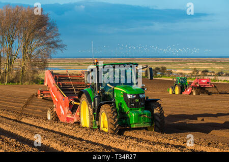 I trattori di effettuare profonde sagomatura letto seguita da semina i campi Inizio tempo di molle a Burnham Overy in North Norfolk, East Anglia, England, Regno Unito Foto Stock