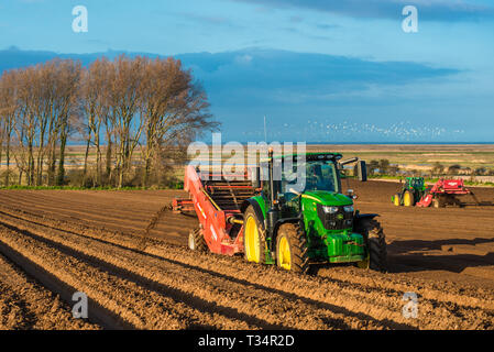 I trattori di effettuare profonde sagomatura letto seguita da semina i campi Inizio tempo di molle a Burnham Overy in North Norfolk, East Anglia, England, Regno Unito Foto Stock