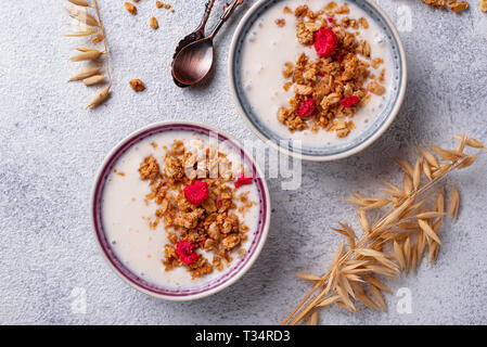Muesli con yogurt e lamponi secchi Foto Stock