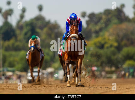 Arcadia, CA, Stati Uniti d'America. 7 apr, 2019. Aprile 06, 2019: Bellafina con Flavien Prat vince la Santa Anita querce a Santa Anita Park in aprile 06, 2019 in Arcadia, California. Evers/Eclipse Sportswire/CSM/Alamy Live News Foto Stock