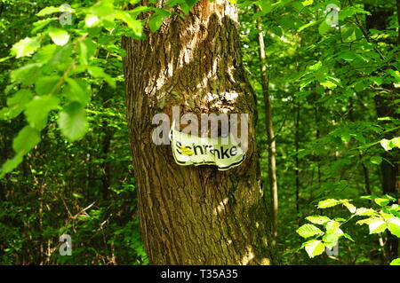 Scudo incarnati in un albero con la barriera di testo Foto Stock