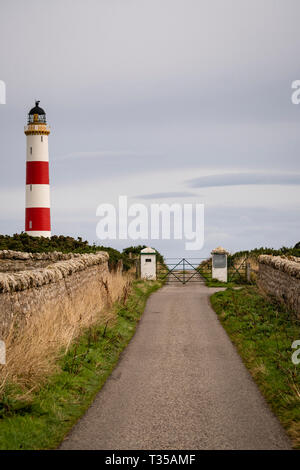 Tarbat Ness Lighthouse vicino a Portmahomack, Scozia. Foto Stock