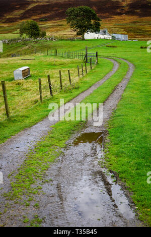 Due vie del viale che conduce fino alla cima di una collina alla casa colonica sulla A897 in Scozia. Foto Stock