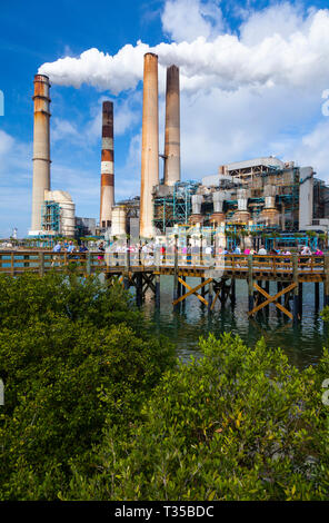 Manatee centro di visualizzazione, Big Bend Power Station, Tampa elettrico, Apollo Beach, Florida, Stati Uniti d'America Foto Stock