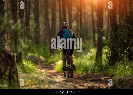 Atleta maschio mountainbiker corse in bicicletta lungo un sentiero forestale Foto Stock